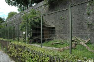 Ancien enclos du lion, occupé par des bucorves du Sud