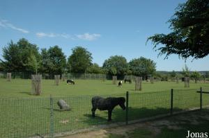 La Ferme du Zoo