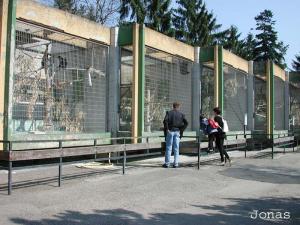 Enclos extérieurs de l'installation des singes