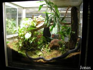 Vivarium