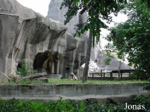 Plateau des lions