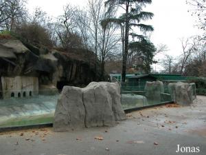 Bassin des manchots de Humboldt