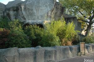 Ancienne fosse des lémuriens