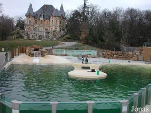 Bassin des otaries