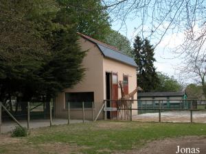 Enclos et bâtiment des girafes