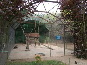 Cage des macaques rhésus