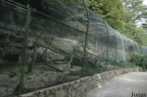 Anciennes volières pour petits félins et oiseaux divers