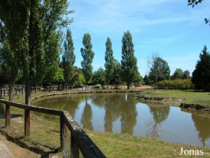 Enclos des animaux domestiques