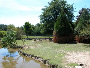 Enclos des animaux domestiques