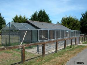 Cages des coatis et des perruches