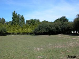 Enclos des élands du Cap, des lamas, des daims et autres