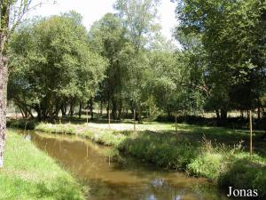 Enclos des zèbres et des cobes