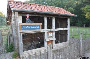 Ferme, la dindonnerie