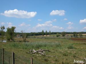 Enclos des ours bruns