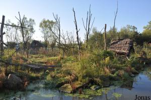 Le Voyage de Néo, île des lémuriens