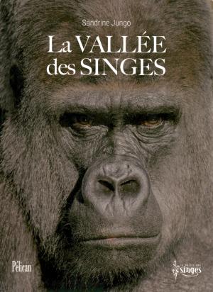 <strong>La Vallée des Singes</strong>, Sandrine Jungo, Pélican, Paris, 2023