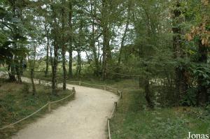 Territoire des capucins bruns