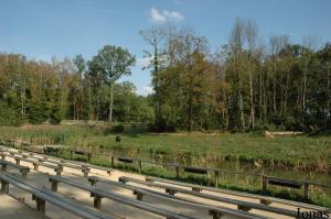 Île des chimpanzés et aire de nourrissage