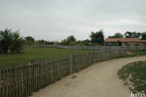 Enclos des baudets du Poitou