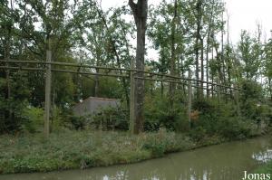 Ancienne île des siamangs, aujourd'hui occupée par les atèles à face rouge