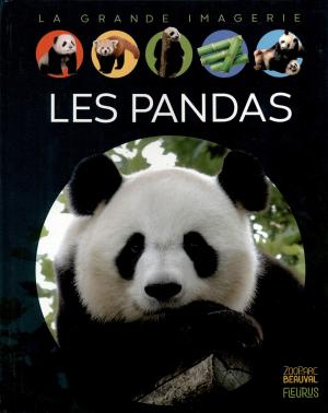 <strong>Les pandas</strong>, La grande imagerie, Stéphanie Cambournac, ZooParc de Beauval, Fleurus Éditions, Paris, 2021