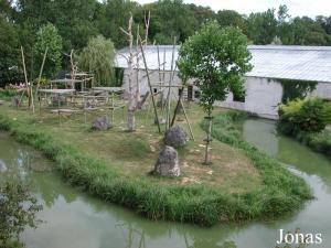 Île extérieure des orangs-outans