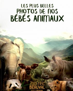 Guide 2017 - Les plus belles photos de nos bébés animaux