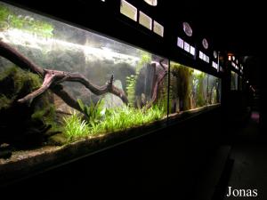 Aquarium