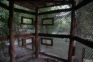 Hutte d'observation sur l'enclos des céréopses cendrés