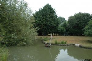 Plan d'eau des tadornes et des canards à crinière