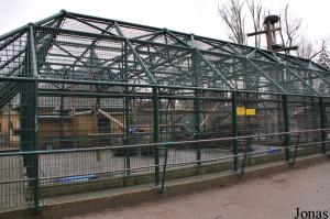 Cage du groupe de macaques de Tonkean