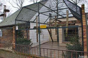 Cage des lémurs à front blanc