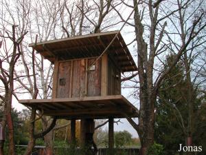 Maison de deux aras qui vivent en liberté