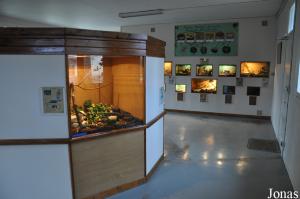 Vivarium