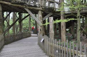 Apenboompad, parcours dans les arbres