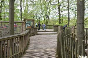 Apenboompad, parcours dans les arbres