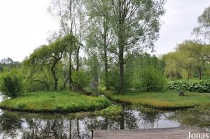 Îles des saimiris