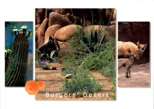 Carte postale