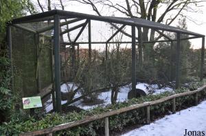 Volière des loriquets à tête bleue et des kangourous-rats à long nez