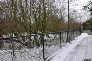 Enclos des grues à cou blanc et de quelques anatidés