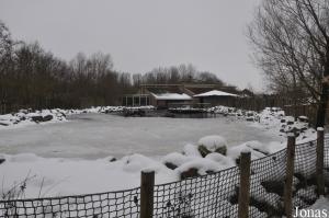 Bassin des otaries à fourrure