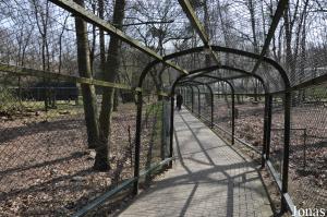 Het Berenbos, vaste installation pour ours bruns et loups communs