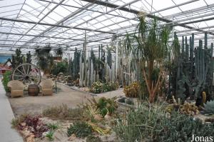 Familie Park CactusOase