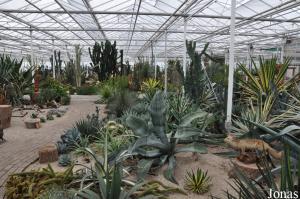 Familie Park CactusOase