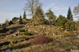 Jardin rocheux