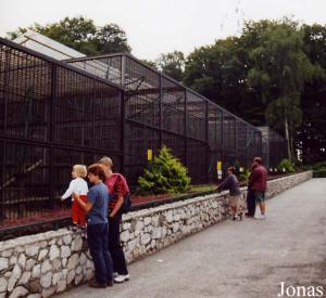 Cages des singes