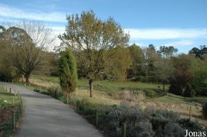 Pathway in the first part of the park