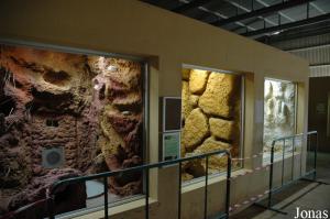 Some tanks in the reptile house