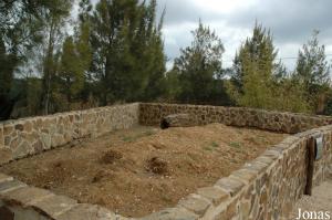 Prairie dogs enclosure