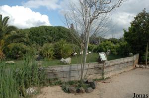 Flamingos enclosure